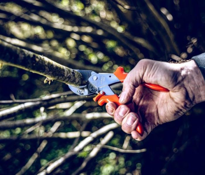 Schnittdurchmesser bis zu 30 mm mit der Einhandschere Original LÖWE (Foto: Gebr. Schröder GmbH, Original LÖWE)